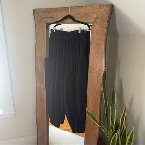 Free People Blake Pant (SZ XS)